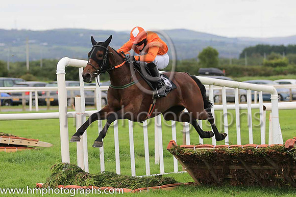 11th Likethemudda and J B Kane 5 ( 8 , orange, white diamond ) Trainer - P E Collins , Owner - Sean Maguire