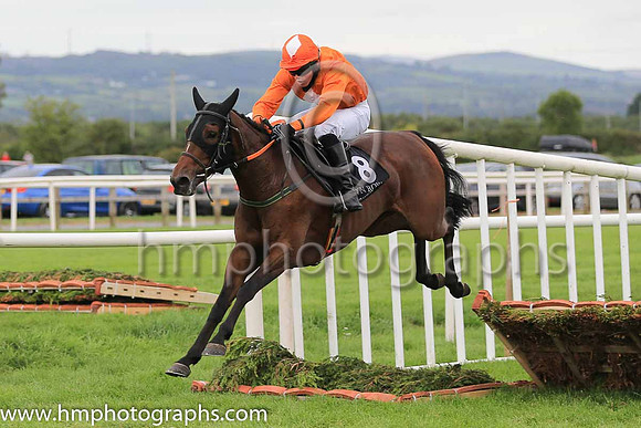 11th Likethemudda and J B Kane 5 ( 8 , orange, white diamond ) Trainer - P E Collins , Owner - Sean Maguire