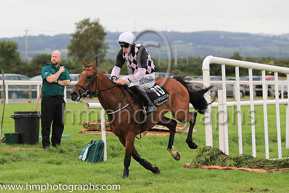 12th Raveloe and B Hayes ( 10 , black and pink diamonds ) Trainer - P A Fahy , Owner - William Hurley  Mrs Aisling Hurley