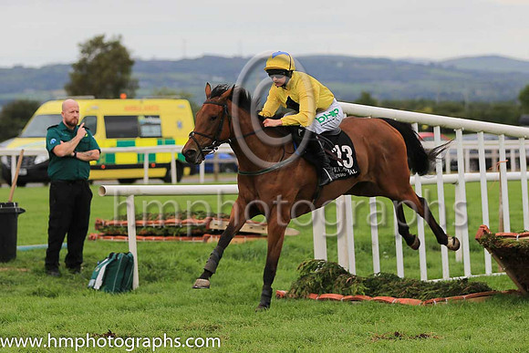 13th Arcadette and Rachael Blackmore ( 13 , yellow, black diamond ) Trainer - G J Power , Owner - P McCarthy