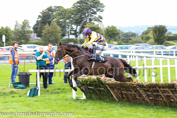 08th Canadian Steel and D E Mullins ( 11 , yellow and purple chevrons ) Trainer - N C Kelly , Owner - Mrs Shauna Kelly