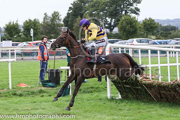08th Canadian Steel and D E Mullins ( 11 , yellow and purple chevrons ) Trainer - N C Kelly , Owner - Mrs Shauna Kelly