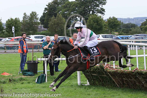 07th Vocal Heir and D J Mullins ( 13 , pink, emerald green hoop ) Trainer - Stephen Hanlon , Owner - Stephen Michael Hanlon