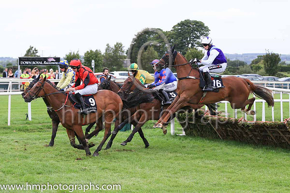 12th Tobar Geal and D F O?Regan ( 16 , purple, light blue epaulettes ) Trainer - L P Cusack , Owner - Aidan Fogarty