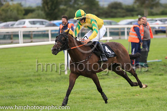04th Specific Gravity and S O?Briain 7 ( 4 , yellow, emerald green star ) Trainer - A McGuinness , Owner - Sean F Gallagher