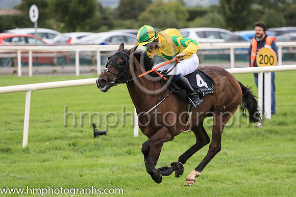 04th Specific Gravity and S O?Briain 7 ( 4 , yellow, emerald green star ) Trainer - A McGuinness , Owner - Sean F Gallagher