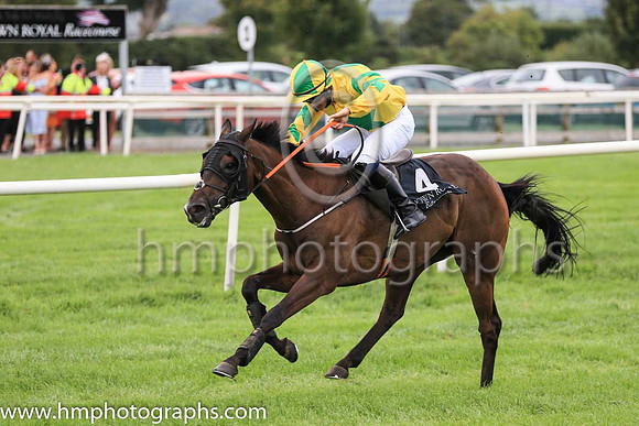 04th Specific Gravity and S O?Briain 7 ( 4 , yellow, emerald green star ) Trainer - A McGuinness , Owner - Sean F Gallagher