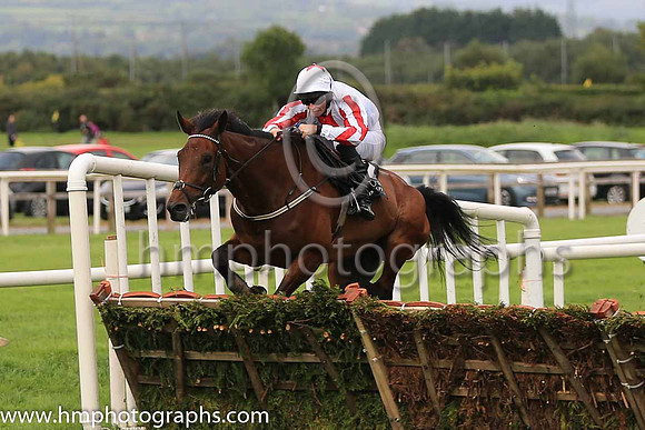 01st Optical Confusion and D J Mullins ( 2 , white, red panel ) Trainer - M Butler , Owner - Anthony Coughlan