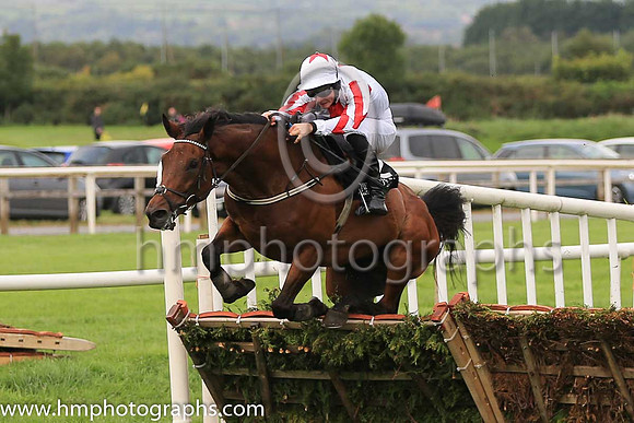 01st Optical Confusion and D J Mullins ( 2 , white, red panel ) Trainer - M Butler , Owner - Anthony Coughlan