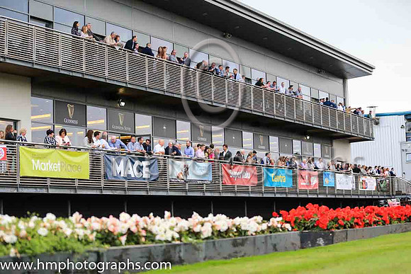 Musgrave Northern Ireland Race Day at Down Royal