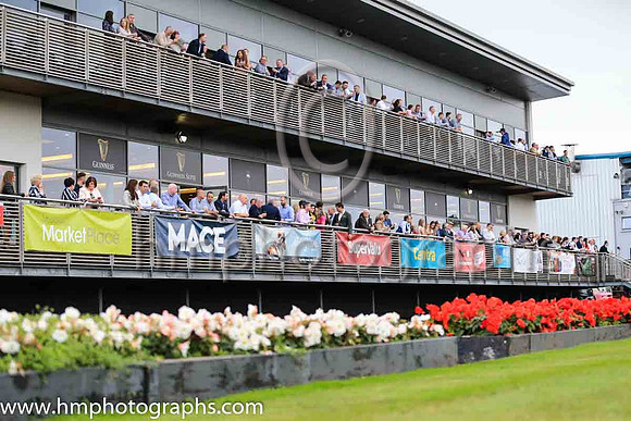 Musgrave Northern Ireland Race Day at Down Royal