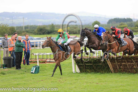 01st Woodland Opera and R M Power ( 2 , royal blue, frey cap ) Trainer - Mrs J Harrington , Owner - Mrs T K Cooper  Miss Diana Cooper  Mrs C A Waters