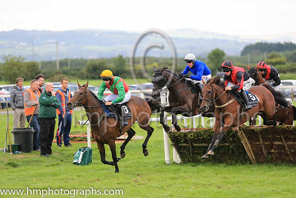 01st Woodland Opera and R M Power ( 2 , royal blue, frey cap ) Trainer - Mrs J Harrington , Owner - Mrs T K Cooper  Miss Diana Cooper  Mrs C A Waters