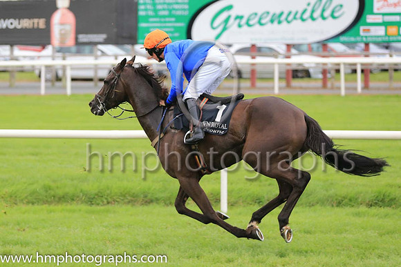 05th The White Volcano and C D Maxwell ( 1 , royal blue, orange cap ) Trainer - J Woods , Owner - Philip White