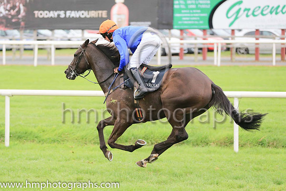 05th The White Volcano and C D Maxwell ( 1 , royal blue, orange cap ) Trainer - J Woods , Owner - Philip White