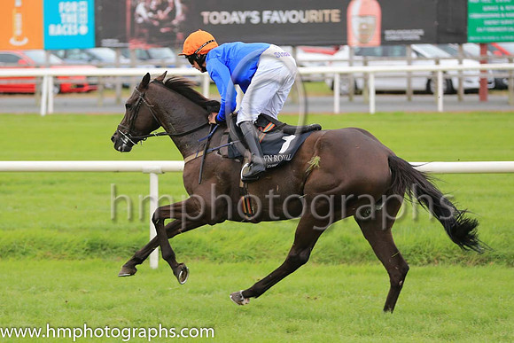 05th The White Volcano and C D Maxwell ( 1 , royal blue, orange cap ) Trainer - J Woods , Owner - Philip White