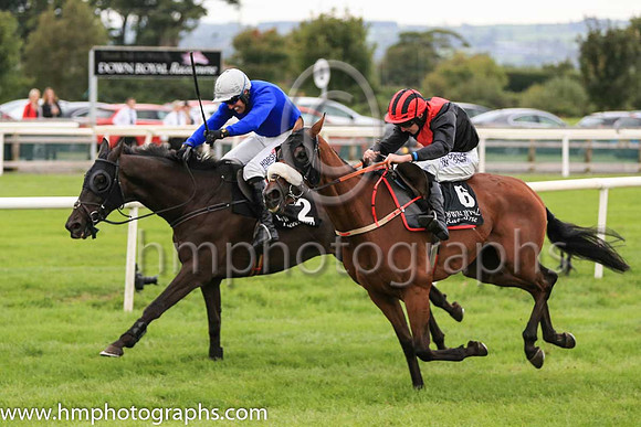 01st Woodland Opera and R M Power ( 2 , royal blue, frey cap ) Trainer - Mrs J Harrington , Owner - Mrs T K Cooper  Miss Diana Cooper  Mrs C A Waters