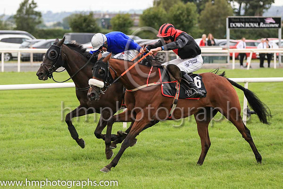 01st Woodland Opera and R M Power ( 2 , royal blue, frey cap ) Trainer - Mrs J Harrington , Owner - Mrs T K Cooper  Miss Diana Cooper  Mrs C A Waters