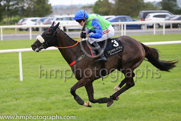 03rd Canardier and B J Geraghty ( 3 , light green, royal blue ) Trainer - D A McLoughlin , Owner - Slattery Bloodstock Limited