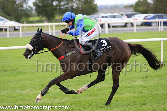 03rd Canardier and B J Geraghty ( 3 , light green, royal blue ) Trainer - D A McLoughlin , Owner - Slattery Bloodstock Limited