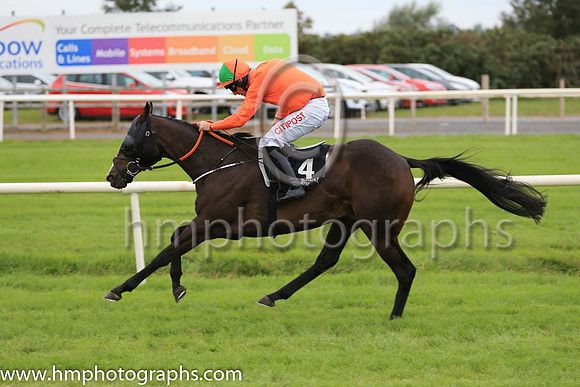 04th De Plotting Shed and D N Russell ( 4 , orange ) Trainer - G Elliott , Owner - Ives Ashley Vasey Partnership