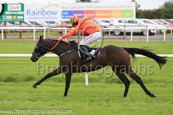 04th De Plotting Shed and D N Russell ( 4 , orange ) Trainer - G Elliott , Owner - Ives Ashley Vasey Partnership