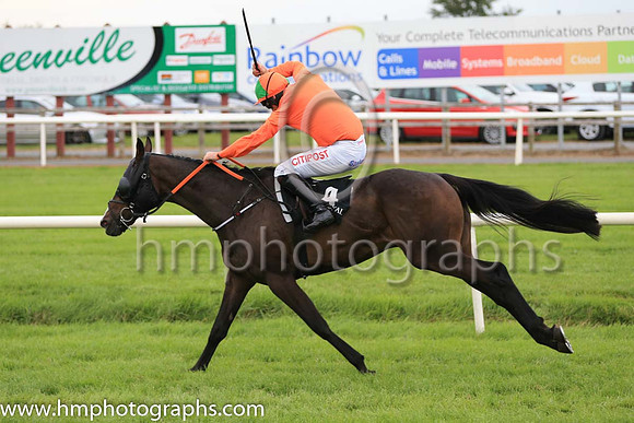 04th De Plotting Shed and D N Russell ( 4 , orange ) Trainer - G Elliott , Owner - Ives Ashley Vasey Partnership