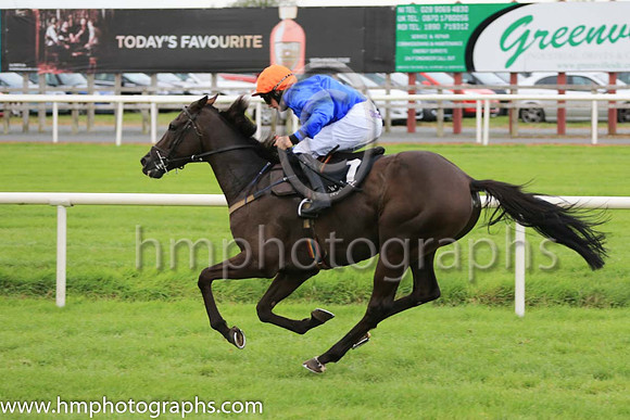 05th The White Volcano and C D Maxwell ( 1 , royal blue, orange cap ) Trainer - J Woods , Owner - Philip White