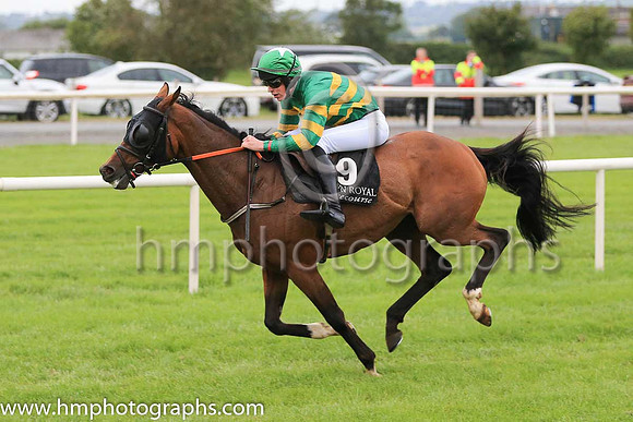 11th Whatever It Takes and N Bashford 7 ( 9 , orange and green hoops ) Trainer - N Madden , Owner - John P McManus