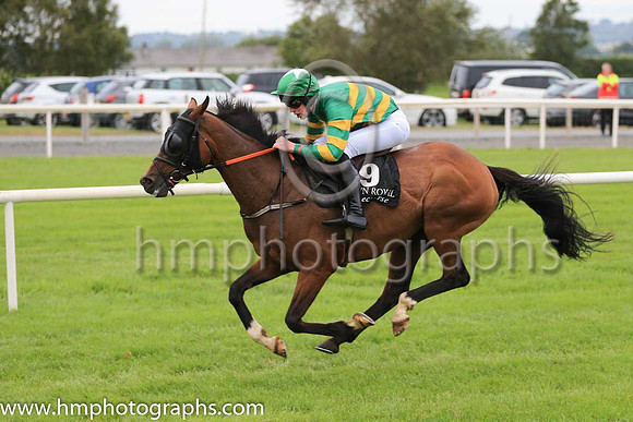 11th Whatever It Takes and N Bashford 7 ( 9 , orange and green hoops ) Trainer - N Madden , Owner - John P McManus