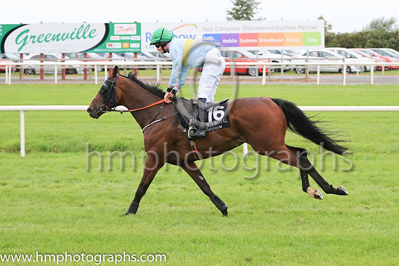 12th Black Label and D J Mullins ( 16 , light blue, yellow hoop ) Trainer - A McGuinness , Owner - D Daly