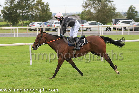 13th Shake The Bucket and N P Madden ( 7 , black, pink hollow box ) Trainer - N Madden , Owner - Ms Sarah Ann Madden