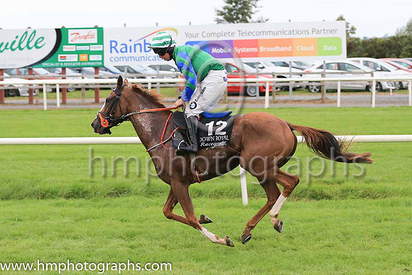 14th Ronald Pump and A E Lynch ( 12 , emerald green, royal blue inverted triangle ) Trainer - Matthew J Smith , Owner - Laois Limerick Syndicate
