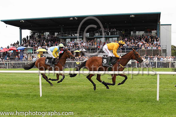 09th Union Gap and J M Moore ( 8 , yellow, yellow cap ) Trainer - N Meade , Owner - Mrs Derville Meade
