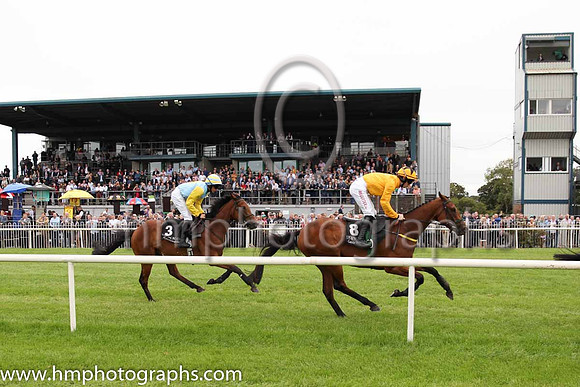 02nd Hannon and C D Maxwell ( 3 , light blue, yellow diamond ) Trainer - Mrs Magnier , Owner - C P Magnier