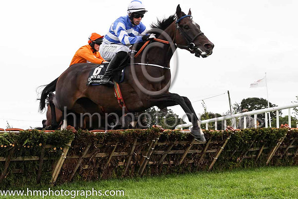 02nd Its All A Lark and P D Kennedy ( 6 , royal blue and white chevrons ) Trainer - C Bowe , Owner - Mrs Fiona Bowe