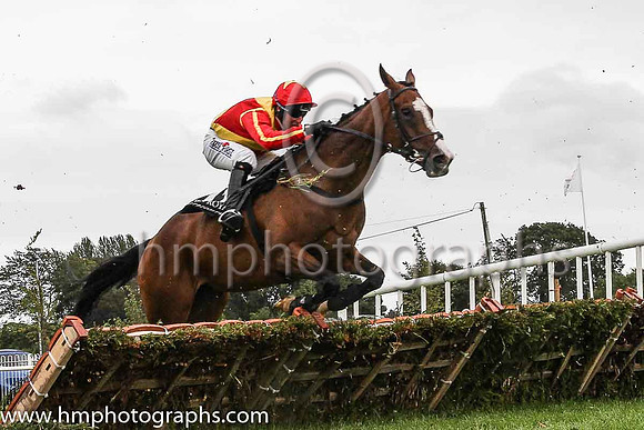 05th The Princetonian and R M Power ( 11 , red, yellow cross sashes ) Trainer - Mrs J Harrington , Owner - Heaney Family Syndicate