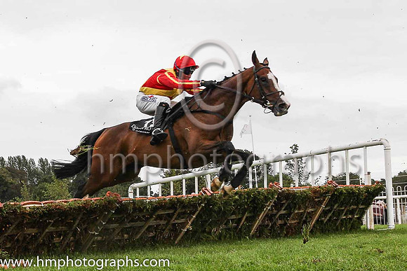 05th The Princetonian and R M Power ( 11 , red, yellow cross sashes ) Trainer - Mrs J Harrington , Owner - Heaney Family Syndicate/