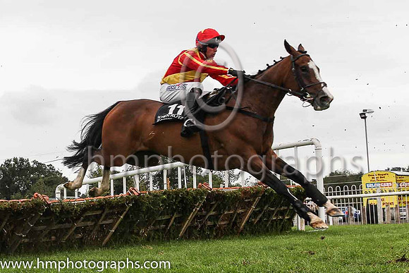 05th The Princetonian and R M Power ( 11 , red, yellow cross sashes ) Trainer - Mrs J Harrington , Owner - Heaney Family Syndicate