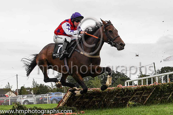 09th Krujers Girl and A E Lynch ( 7 , red, purple stars ) Trainer - V C Ward , Owner - Can?t Stand Syndicate
