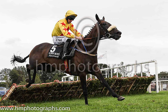 10th Gone Galavanting and R Loughran ( 5 , yellow, red star ) Trainer - Peter Fahey , Owner - Pig N Porter Syndicate