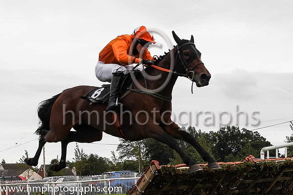 11th Likethemudda and J B Kane 5 ( 8 , orange, white diamond ) Trainer - P E Collins , Owner - Sean Maguire