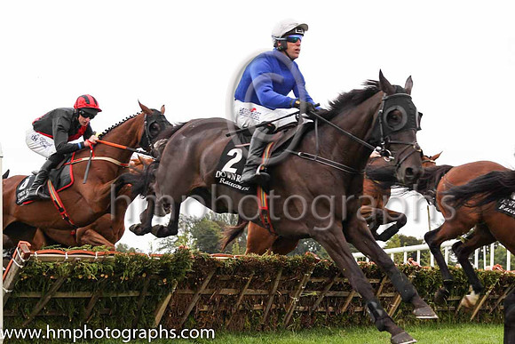 01st Woodland Opera and R M Power ( 2 , royal blue, frey cap ) Trainer - Mrs J Harrington , Owner - Mrs T K Cooper  Miss Diana Cooper  Mrs C A Waters