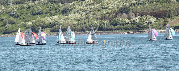 3rd, Gold, 14277, Curly Morris & Meg Tyrrell, EABC/NSC - 8, 3, 5, 4, 4, (13) - Total = 37, Nett = 24 - leaving the mark