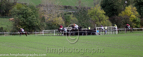 Race 5 County Down Hounds P2P at Loughbrickland