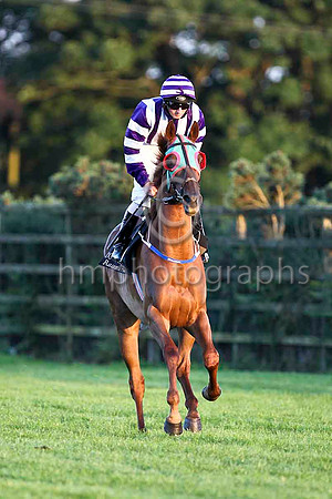 Solo Performer & C D Hayes - 6th (1, purple and white stripes)  - CU2D3518-e