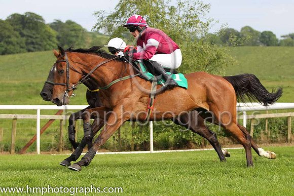 13 Rough Justice & P Townend - U (1, maroon, white star) - FT8E7511-Edit-72