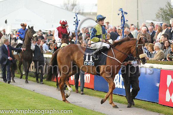 18 Rummaging and S Foley - - 18th (11 ,dark blue and yellow quartered ) Trainer - M Halfoth