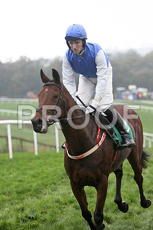 Casoran , 9th, Jockey - Mr D A Fitzsimmons - FT8E5528-e