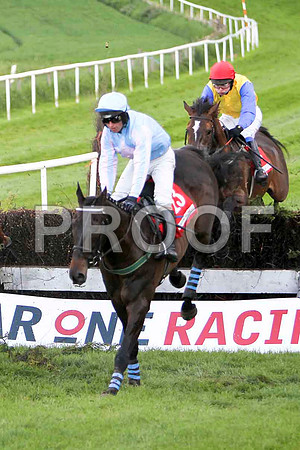 Mr Springer , Winner , Jockey - T P Treacy -FT8E3106-e